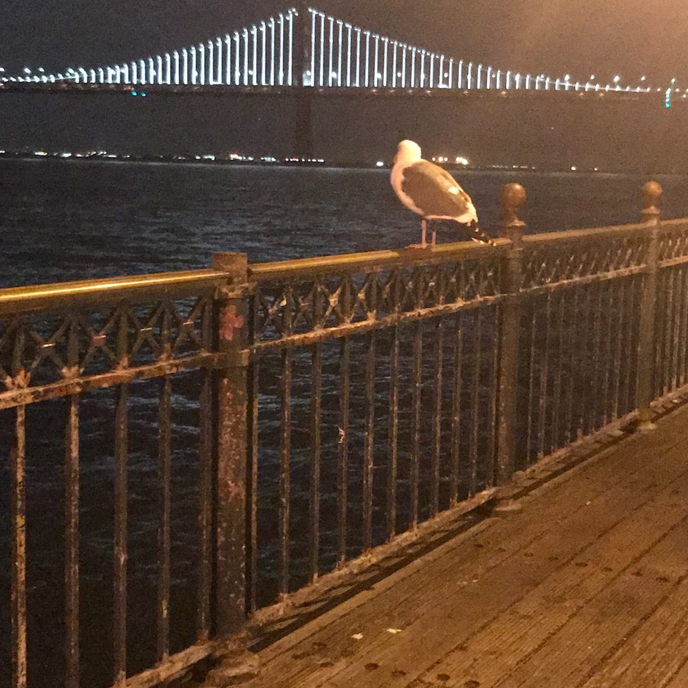 Meet your Posher, Celine